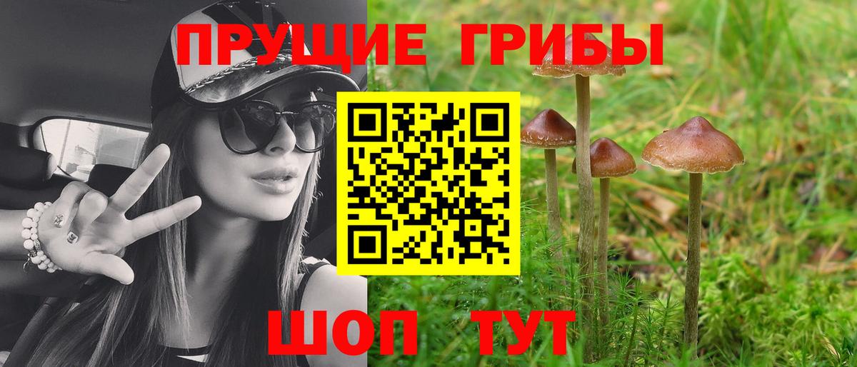 Альметьевск  Галлюциногенные грибы мицелий  Вход с VPN 